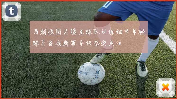 马刺根图片曝光球队训练细节年轻球员备战新赛季状态受关注