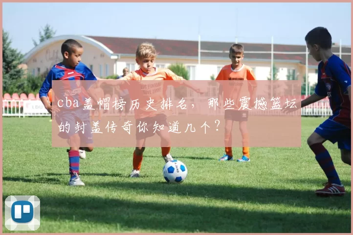 cba盖帽榜历史排名，那些震撼篮坛的封盖传奇你知道几个？