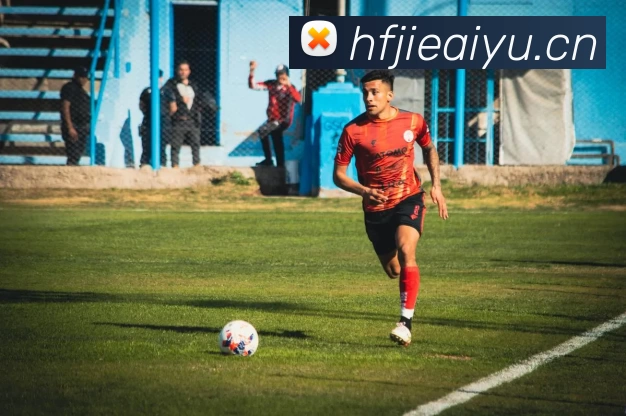 App Interface Preview